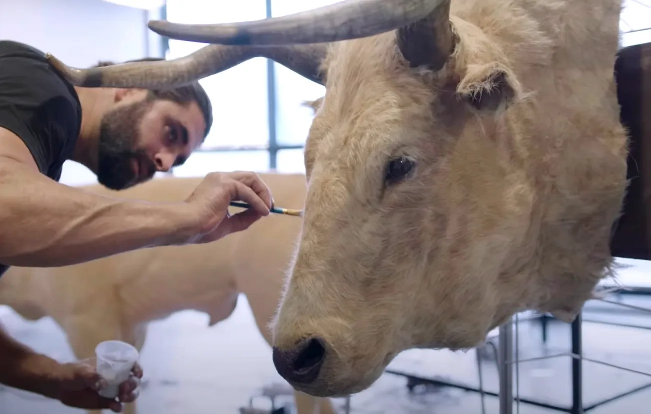 Pendragon Cycle Production Diary 9 Includes Serious Special Effects